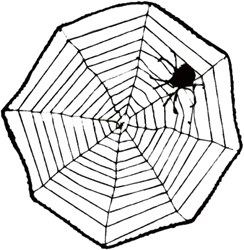 Spin in Web