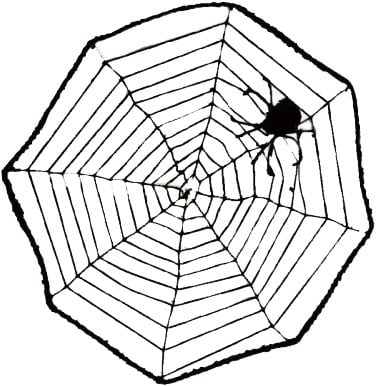 Spin in Web