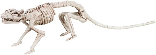 Skelet Rat Halloween Decoratie (35cm)