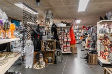 Feestwinkel Megastore Borne | Carnavalsland-2219