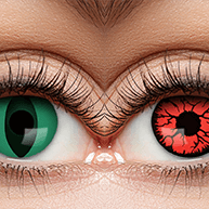 HL - 2025 - Cat - 10