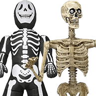 HL - 2025 - Cat - 05