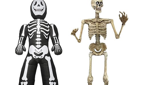 Skeletten